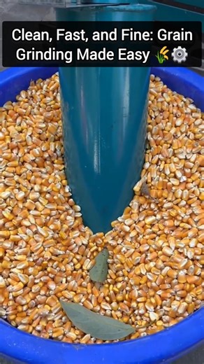 Invention, Gadgets & Tech on Instagram: "A self-priming dust-free pulverizer is a multifunctional grain processing machine designed for crushing and grinding crops like corn, wheat, and other grains into fine flour. This machine features a self-priming mechanism that automatically draws in raw materials, reducing manual effort and improving efficiency. Its dust-free design helps maintain a cleaner working environment by minimizing airborne particles during operation. Commonly used in small flour