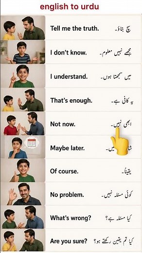 “English Sentences Translated to Urdu – Easy & Quick!” #english #spokenenglish #learnenglish