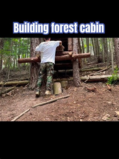 Building forest cabin
