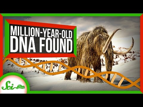 The Oldest DNA Ever Found