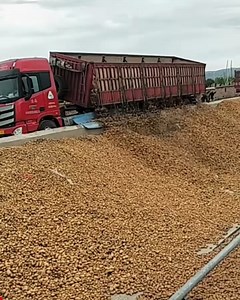 1.7M views · 7.5K reactions | Biggest potato noodle factory in China, amazing to watch | The Food Ranger | Facebook