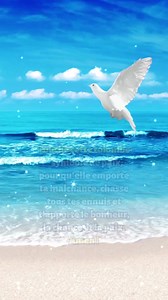 Touche cette colombe – symbole de paix, pour qu’elle emporte ta malchance, chasse tous tes ennuis et t'apporte le bonheur, la chance et la paix. Amen ! | Amour de Jésus et de Marie