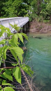A mermaid swimming up a river and under a bridge in Michigan ✨️ This video was filmed back when my hair was quite a bit shorter. It was the first swim of that season and I remember thinking to myself midway up the river "why did I decide to swim upstream for the first swim? Man I'm out of shape!!!" I have learned my lesson and now save river swims for at least the second swim of the season 😉🖤 Anyway, please enjoy this short mermaiding video. I'm off to continue work on a bigger video project. 