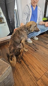 1.2K reactions · 141 shares | Nori ne-a rupt sufletele când am văzut...