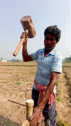 Low-Cost Trellis System for Pointed Gourd Farmers #shorts