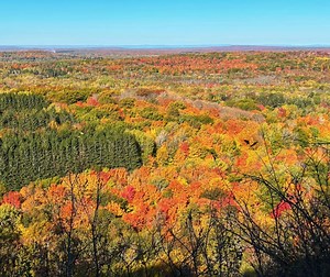 Fall color in Michigan is rapidly developing, peak viewing dates updated