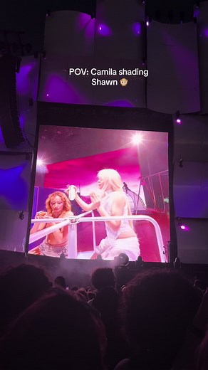 Camila Cabello's Bam Bam Performance Highlights