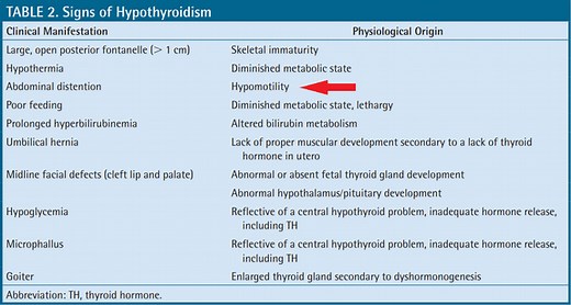 Gut Motility - Driver of the Microbiome