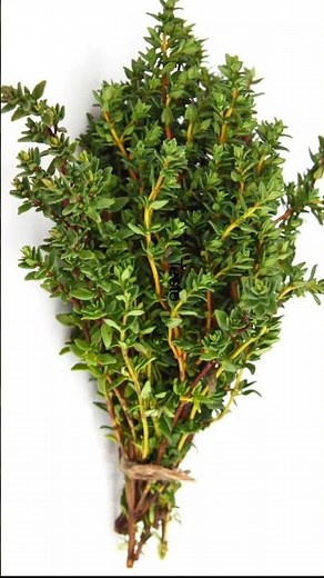 5 Health Benefits of Thyme