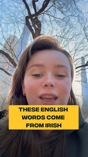 115K views · 1.8K reactions | Such a rich language    @vivienne_in_NYC #Ireland #Irish #Gaeilge | JOE.ie | Facebook