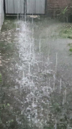 Short Rain Sounds for Relaxation#rainsounds #shorts #relaxing #ambient