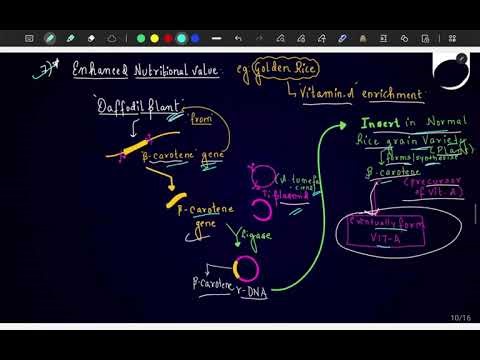 Biotech and applications complete chapter class 12 neet 2026