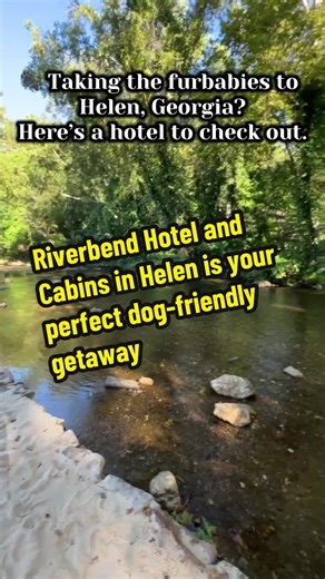 Taking your dog to Helen, Georgia? 🐾 Riverbend Hotel & Cabins gives you a pet-friendly place to stay right along the Chattahoochee River and within walking distance of downtown Helen. A great option to check out for a dog-friendly North Georgia getaway. #tiktokgofallexperiences #PetFriendlyTravel #HelenGeorgia #PetFriendlyHotels #explorega