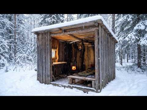 Abandoned Forest Shack. From Chaos to Comfort