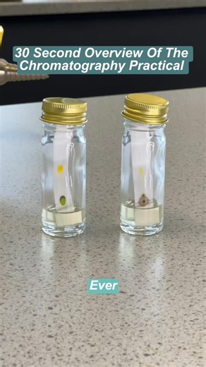 Biology Teacher | Miss Estruch on Instagram: "The entire chromatography practical — in just 30 seconds. ⏱️⁠ ⁠ Perfect for quick lesson recaps or revision sessions with your class.⁠ Teach it, time it, and test it. Here’s how to nail this AQA Required Practical fast.⁠ ⁠ Comment CHROMATOGRAPHY for the full teacher guide and printable method sheet.⁠ ⁠ #aqabiology #alevelbiology #biologyteacher #biologypractical #requiredpracticals #chromatography #teachingscience #biologyresources #biologyteacherlif