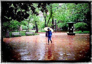 Transfer FAQ: Will my credits transfer?