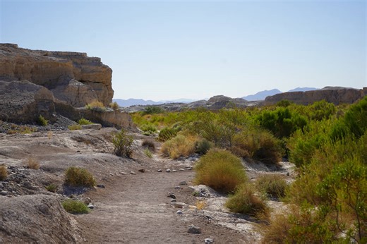 On the trail of extinct creatures at a Southern Nevada state park
