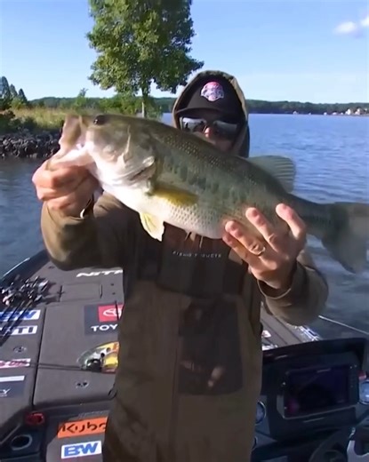 6.5K views · 19 reactions | Nick Hatfield MLF Pro Tour Heavy Hitters Smith Mountain Lake | Tackle Warehouse | Facebook