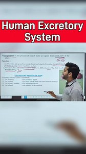 Human Excretory System #fblifestyle #scienceexperiment #education #sciencegurushivam #scienceknowledge #science #scienceguru #physicsexperiment | Science Guru Shivam