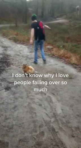 Here I go again laughing at others misfortune. #laugh #fall #fyp