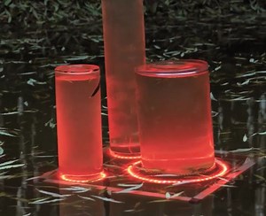 Beautiful outdoor aquarium ideas! | Green Bean