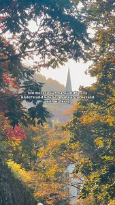 48K views · 1.5K reactions | What I love about German culture is that...