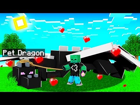 How To Tame a ENDER DRAGON in MINECRAFT! (Pet Ender Dragon)