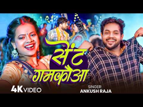 #Ankush Raja | भोजपुरी गाना | #Krishmma Kakkar | सेंट गमकौआ | Sent Gamakauaa | Bhojpuri Video Song