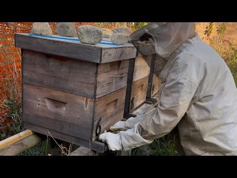 Simple and Easy Mouse Guards Installed as Preparations for Winter Beekeeping Continue