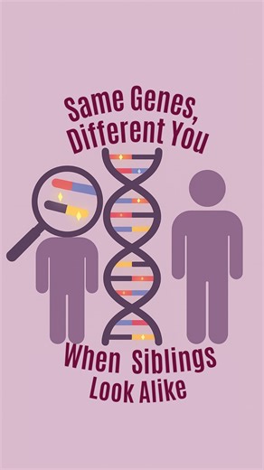 Demystifying Medicine McMaster on Instagram: "When your sibling calls you ugly but you literally share half your DNA 😭 Siblings each get a mix of chromosomes from both parents. During meiosis, those chromosomes shuffle and swap pieces, which makes every child’s genetic combination different. That’s why you and your sibling can share the same parents but have different traits and looks. #GeneticsHumor #SciTok #SiblingGenes #DNAVariation #ScienceFacts. .For more information visit: https://pmc.ncb