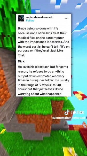 Bruce Wayne's Batcomputer Woes: Son's Vague Medical Entries