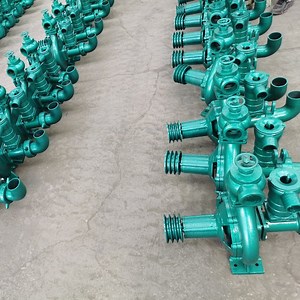 [Hot Item] Tanzania 3 Inch High Pressure Agricultural Irrigation Water Pump Vertical Cast Iron Centrifugal Water Pump