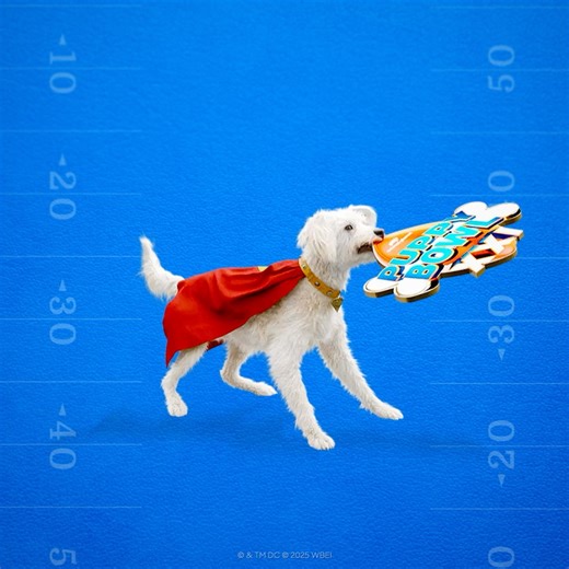 Krypto says it’s game time. 🐶💫 Make sure you’re tuning in to #PuppyBowl happening NOW on Animal Planet, Discovery, TBS Network, and truTV. | Superman
