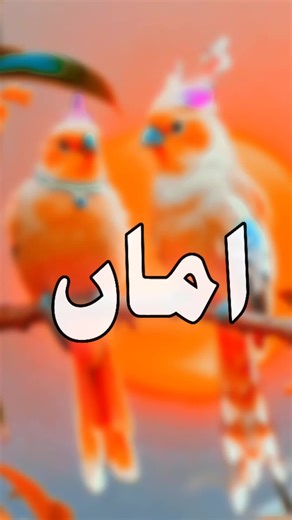 Struggles with TikTok: Unfreeze My Account