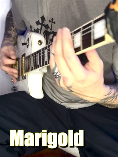 Memorable Riff Showcase: Exploring Heavy Metal Guitar