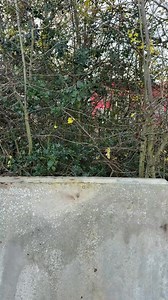 Hilti Nuron batteries offer extended run time, intelligent power management and are built to withstand the toughest job sites. | Hilti