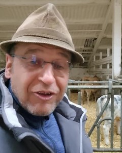 Geht das mit unseren Bullen züchten? Was spricht dagegen? | Bauernhof Sagel