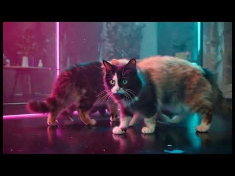 Neon Cats in a Bright Pop World – Soft Pop Mix