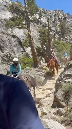 Horseback Riding Through Canyons and Crossing the Bridge in Kennedy Meadows