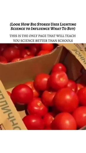 Science | Facts | Knowledge on Instagram: "Grocery stores and big retail chains strategically use lighting science to influence customer behavior and boost sales. Bright, warm lights are often positioned in fresh produce sections, making fruits and vegetables appear more vibrant and appealing. This subtle visual trick encourages shoppers to buy more, tapping into psychology of perception in retail. Ambient lighting in supermarkets is carefully designed to create a comfortable shopping environmen