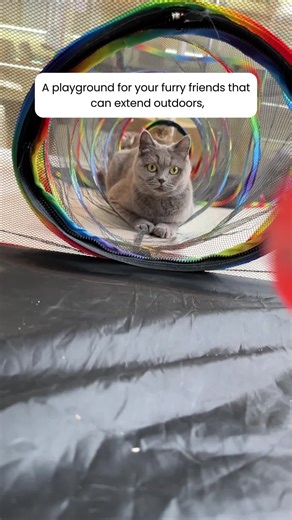 video, Outdoor Cat Enclosures for Cats Indoor, Patio Portable Mesh Cat Tent, Tunnel, Playhouse wi...