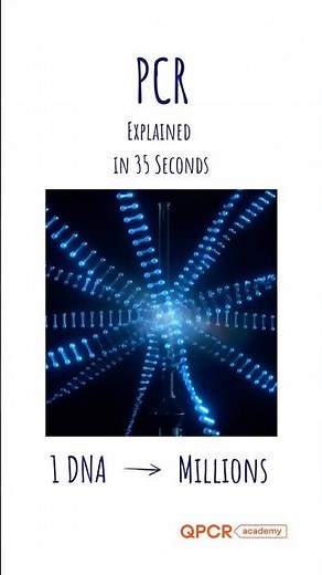 How PCR Works I Molecular Biology Basics