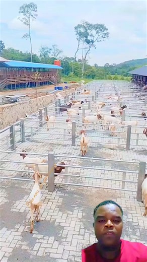 Edem gadel non mezanmi | Eliphene Tv