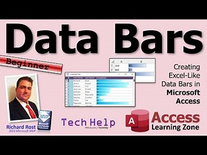 Creating Excel-Like Data Bars in Microsoft Access Using Conditional Formatting