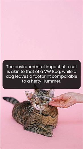 Discover Why Your Cat's Impact Mirrors a Classic Car