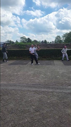 Tai Chi Chuan Yang Style 108 楊氏太極拳 Practice