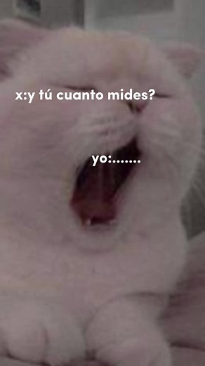 @user070xhzrgaa5 listooo 🖤#viral #parati #frases