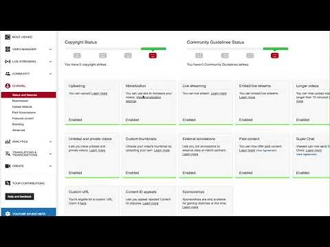 How to Correctly Enter YouTube Channel Tags