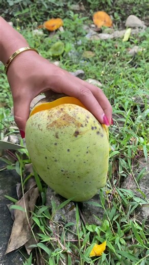 Big Mango #mango