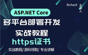 【2023】ASP.NET Core多平台部署教程(含https证书)，windows、linux、docker多环境(SSL/SqlServer)B1116